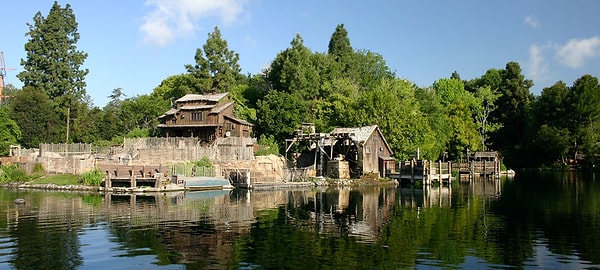 1. 1973'te 18 yaşındaki bir çocuk ve 10 yaşındaki erkek kardeşi Disneyland'deki Tom Sawyer Adası'nda kapanış saatinden sonra mahsur kaldılar ve nehirden yüzerek oradan ayrılmaya çalıştılar.