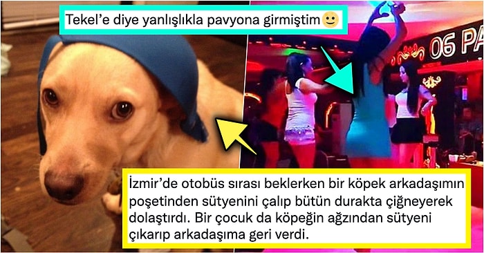 2021'de Yaşadıkları Birbirinden Talihsiz Olayları Anlatırken Bahtsız Bir Bedevi Olmanın Kitabını Yazan Kişiler