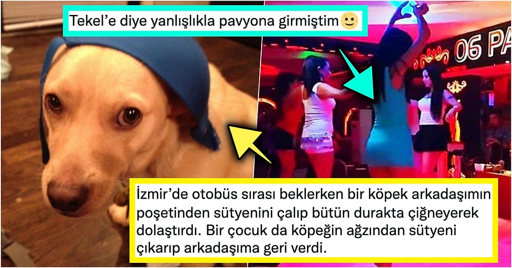 2021'de Yaşadıkları Birbirinden Talihsiz Olayları Anlatırken Bahtsız Bir Bedevi Olmanın Kitabını Yazan Kişiler
