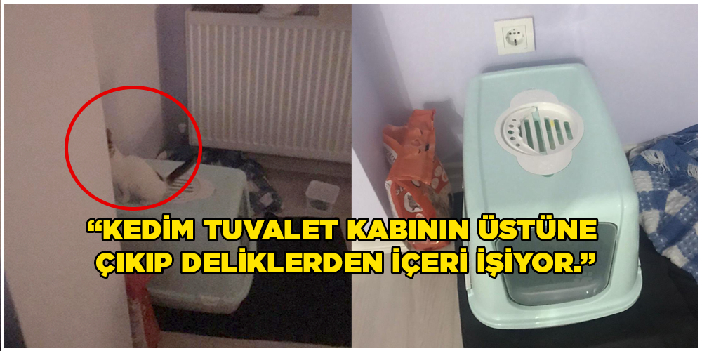s-85cbe74b5b026fa8d27c619e7a7d00e6be2d721a.jpg
