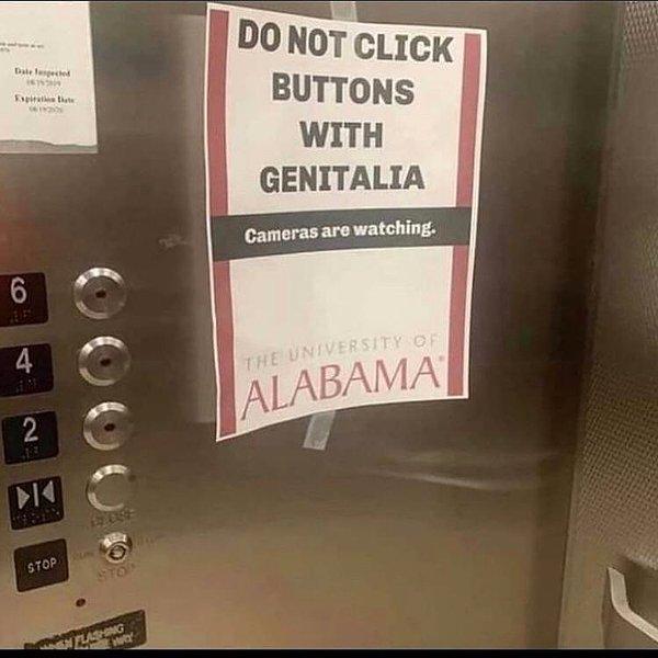 30. "Lütfen asansör tuşlarına cinsel organınızla basmayınız, asansörler kamera ile izlenmektedir."