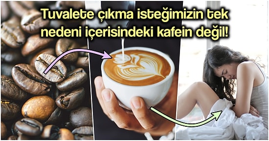 Günümüzün Olmazsa Olmazı Kahvenin Tuvaletimizi Getirmesinden Hormonlara Kadar Bütün Etkilerini Açıklıyoruz