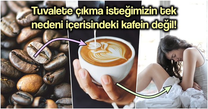 Günümüzün Olmazsa Olmazı Kahvenin Tuvaletimizi Getirmesinden Hormonlara Kadar Bütün Etkilerini Açıklıyoruz