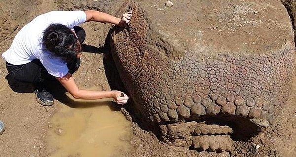 19. Arjantinli bir çiftçi nehrin yanında gömülü olan 20.000 yıllık Glyptodon ailesinden bir kalıntıyı keşfetmiş.