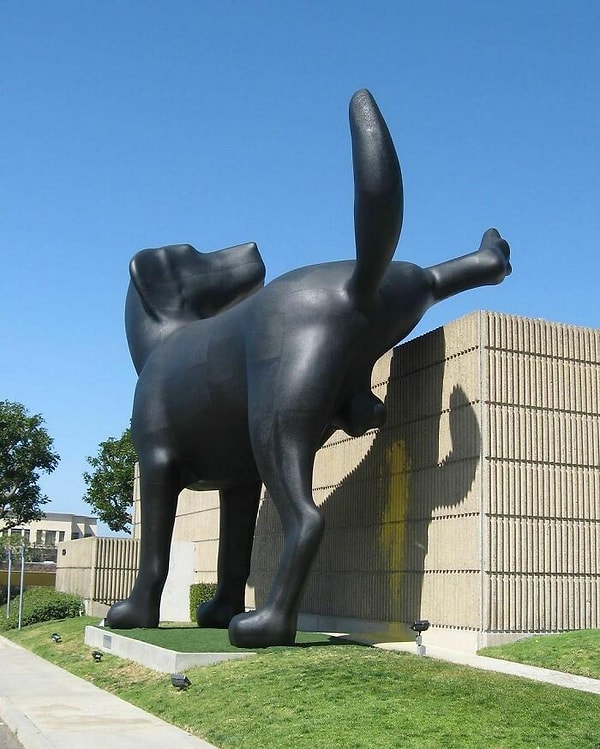 4. Музей искусств округа Ориндж