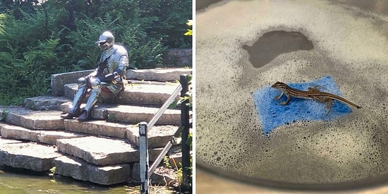 15 крайне интересных вещей, которые люди увидели вживую