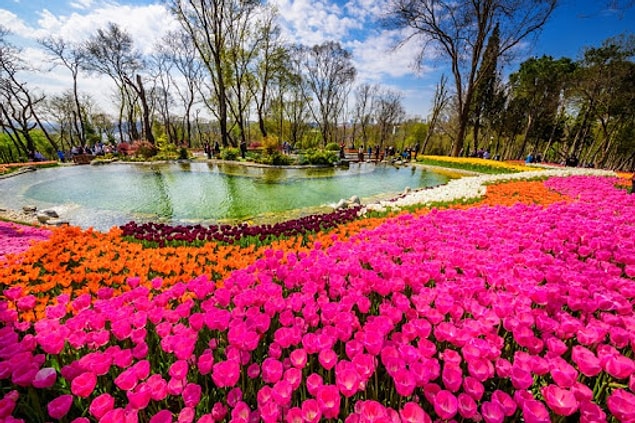 6. Emirgan Korusu