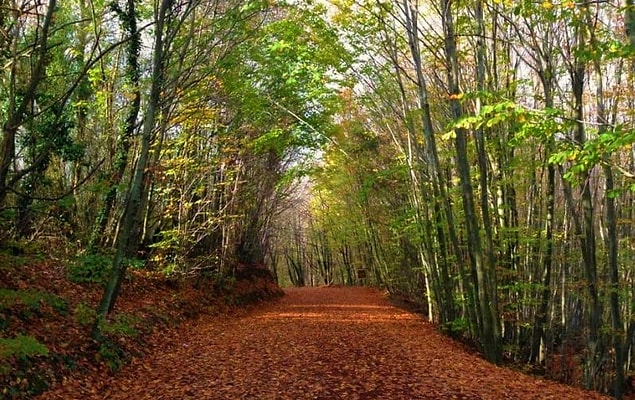 8. Polonezköy Tabiat Parkı