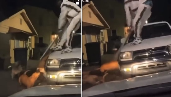 Üzerine Gelen Köpekleri Elindeki Tahtayla Vurarak Felç Eden Adam