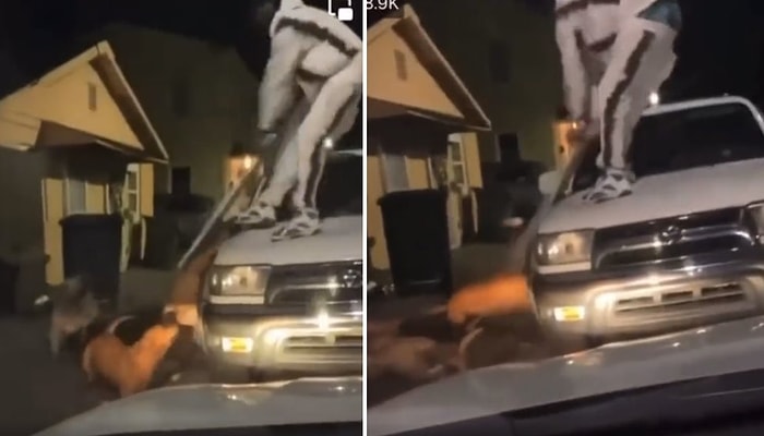 Üzerine Gelen Köpekleri Elindeki Tahtayla Vurarak Felç Eden Adam