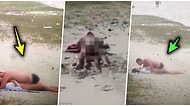 Turist Dolu Bir Plajda Herkesin Gözü Önünde Cinsel İlişkiye Girdikleri İçin Tutuklanan Bi' Acayip Çift!