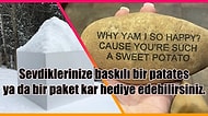 Her Şeye Rağmen Başarılı Olmayı Başarmış En Saçma 10 İş Fikri