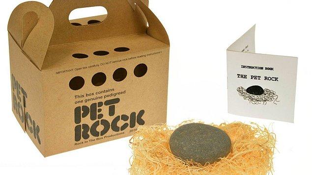 10. The Pet Rock: Evcil hayvan olarak taş