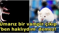 Vampirler Haklı Olabilir! Genç Farelerin Kanının Yaşlı Fareleri Gençleştirdiği Ortaya Çıktı