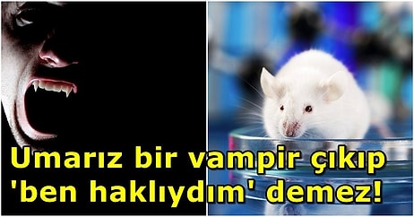 Vampirler Haklı Olabilir! Genç Farelerin Kanının Yaşlı Fareleri Gençleştirdiği Ortaya Çıktı