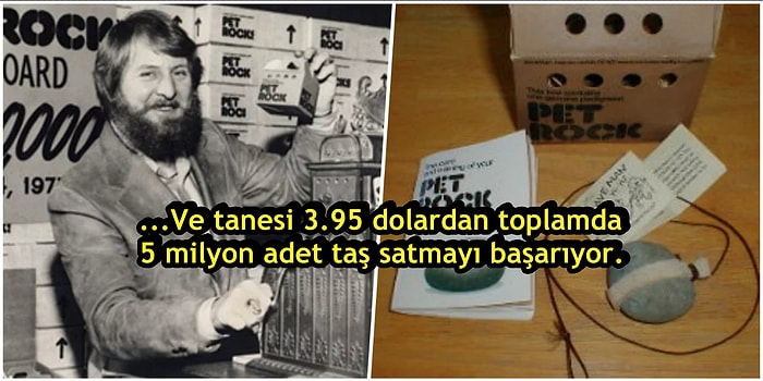 Ekmeğini Taştan Çıkarmak Deyimini Hayata Geçiren Girişimci: Gary Ross Dahl