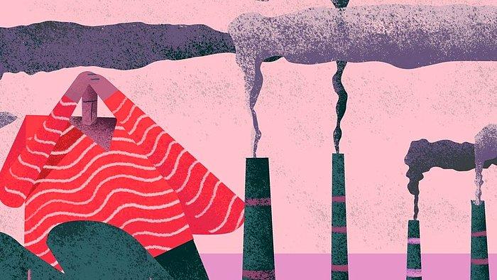 İklim Krizine Yönelik Gelişen Eko Anksiyete Nedir, Bu Kaygı İle Nasıl Başa Çıkılabilir?