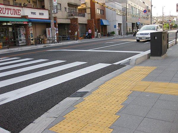 11. "Japonya'daki ilk günümde yollar aşırı temiz olduğu için yağmur yağdığında kaldırımda yürürken kayıp düşebileceğinizi öğrendim..."