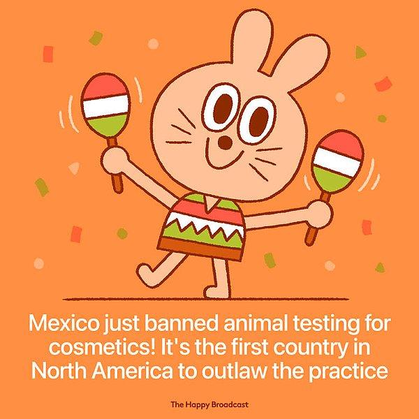 1. "Meksika, kozmetik ürünlerinin hayvanlar üzerinde deney yapılmasını yasaklayarak Kuzey Amerika'da bu yasayı işleme koyan ilk ülke oldu."