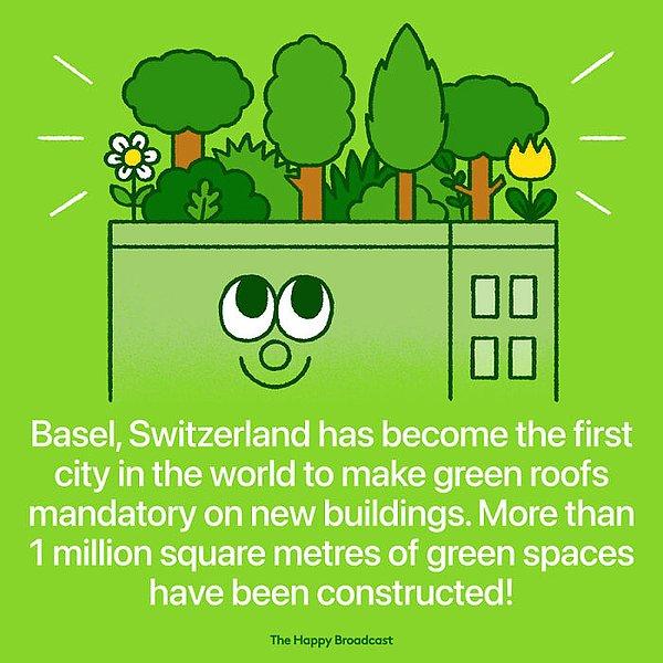 7. "İsviçre'nin Basel şehri, yeni inşa edilen her binanın terasının su yalıtım sistemi üzerine ekilen bir bitki örtüsü tabakası ile kapatılmasını zorunlu hale getiren ilk şehir oldu."