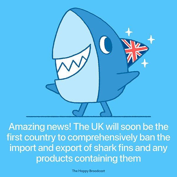 12. "İngiltere yakında kapsamlı bir şekilde köpekbalığı yüzgeci ticaretini durduracak ilk ülke olacak."