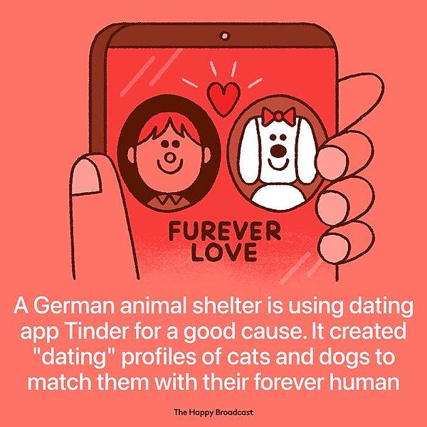 14. "Almanya'da bir hayvan barınağı kediler ve köpekler için Tinder hesapları açarak evlat edinme sistemlerini hızlandırıyor."