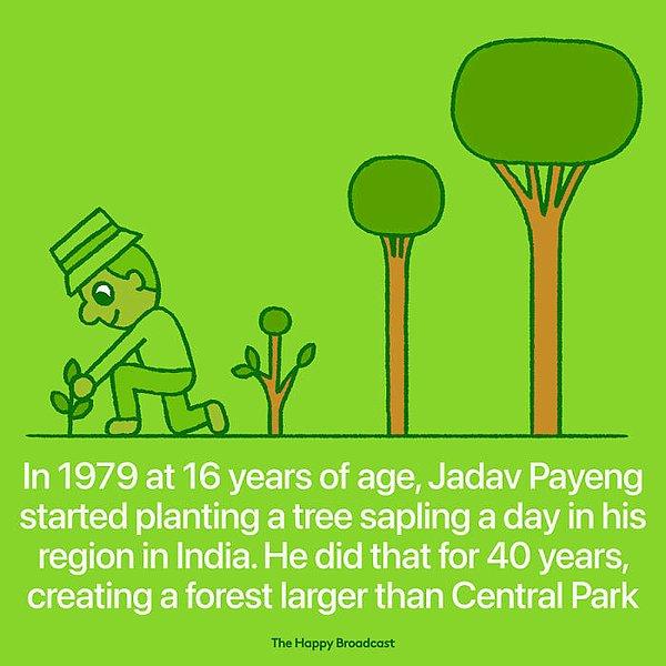 17. "Hindistan'da 1979 yılında ağaç dikimine başlayan Jadav Payeng, yaklaşık 40 yıl içerisinde Central Park'dan daha geniş bir alanda bir orman oluşturdu."