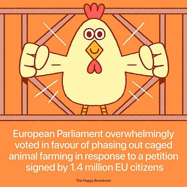 21. "Avrupa Parlamentosu, 1.4 milyon Avrupalının kampanyası üzerine kafes içerisinde hayvan yetiştiriciliğini yasakladı."
