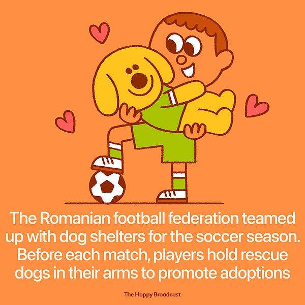 32. "Romanya'da her futbol kulübü bir hayvan barınağı ile ortak çalışıyor ve her maç öncesi oyuncular köpeklerle sahaya çıkarak barınak hayvanlarını ve evlat edinmeyi destekliyorlar."