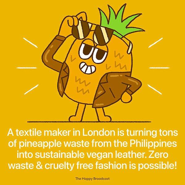 39. "Londra'da bir kumaş fabrikası, Filipinler'den getirdiği atık ananasların kabuklarını kullanarak vegan deri kumaş üretimine başladı."