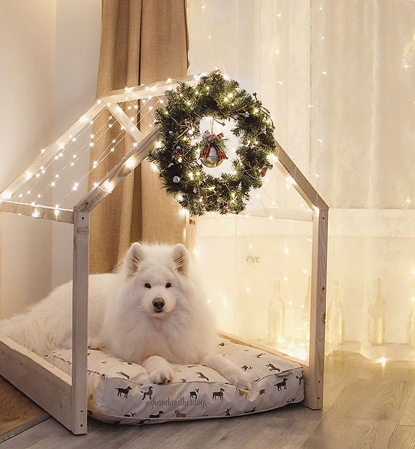 23. Мой муж построил для моих собак собачий домик мечты