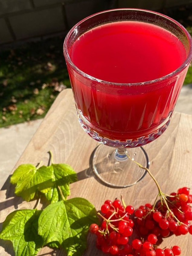 15. Faydaları saymakla bitmeyen gilaburu suyu...