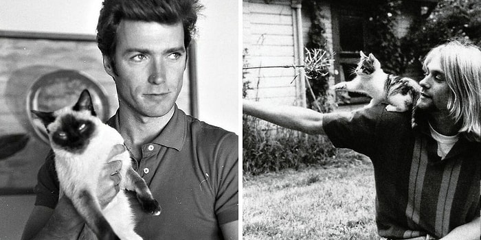 15 фотографий знаменитостей прошлого века с котиками из коллекции бразильской журналистки