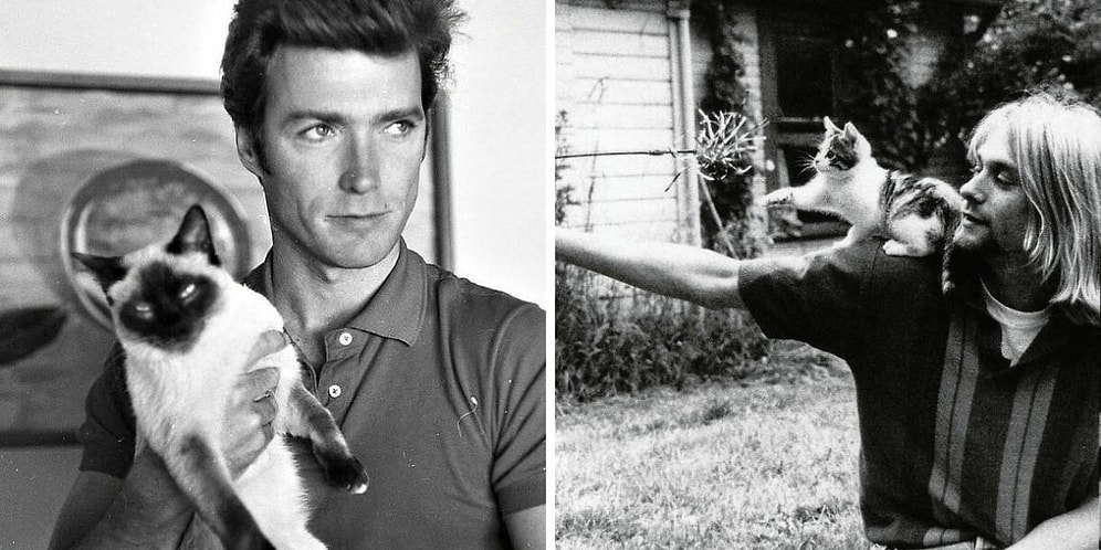 15 фотографий знаменитостей прошлого века с котиками из коллекции бразильской журналистки