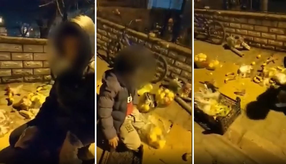 Bolu'da Suriyeli Çocuklar Çöpten Yiyecek Topladı