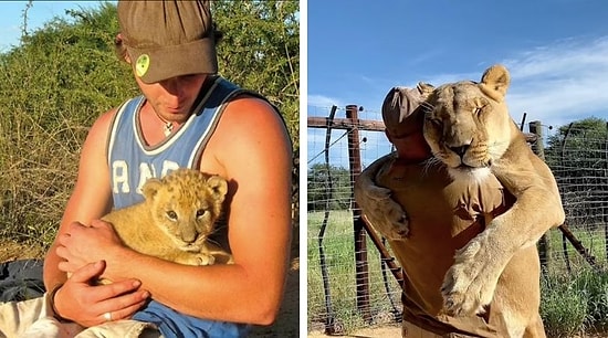 Мужчина обнимается, играет и даже охотится с львицей, которую он спас 9 лет назад