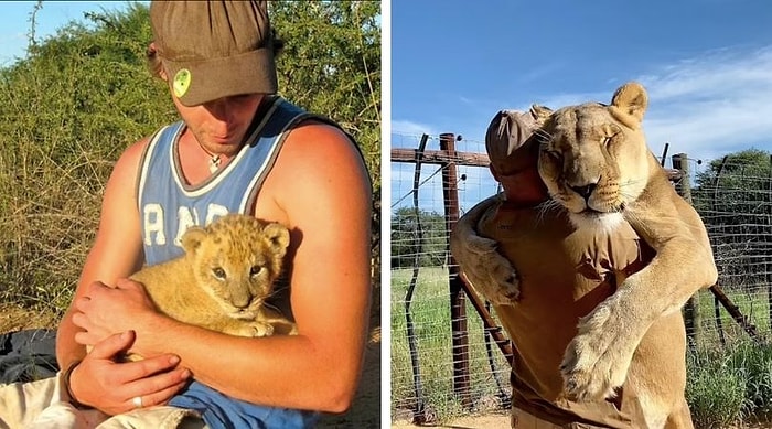 Мужчина обнимается, играет и даже охотится с львицей, которую он спас 9 лет назад