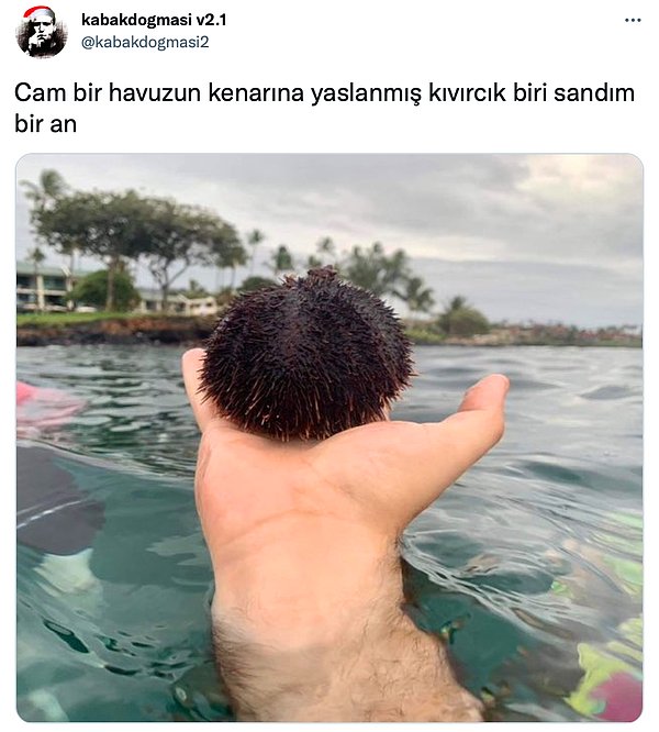 Denizden çıkardığı kestanenin fotoğrafını çekerken göz yanılmasıyla bambaşka bir görüntüyü elde eden sosyal medya kullanıcısı gündeme oturdu.
