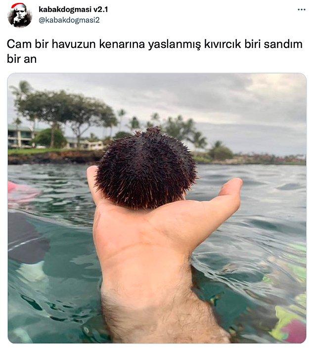 Denizden çıkardığı kestanenin fotoğrafını çekerken göz yanılmasıyla bambaşka bir görüntüyü elde eden sosyal medya kullanıcısı gündeme oturdu.