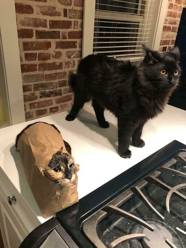 8. Есть два типа людей: