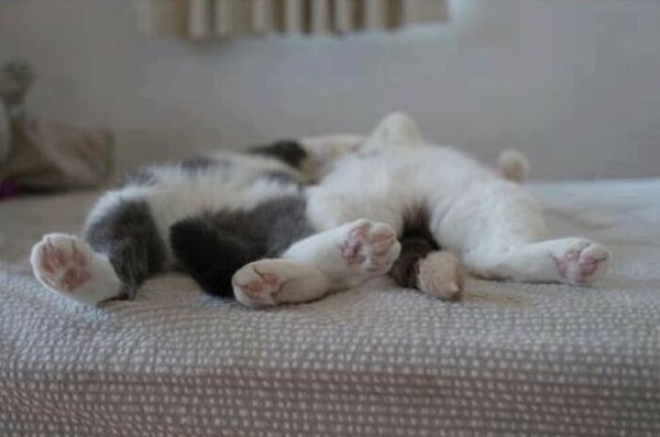 10. После долгого и тяжелого дня тыдых тыдых