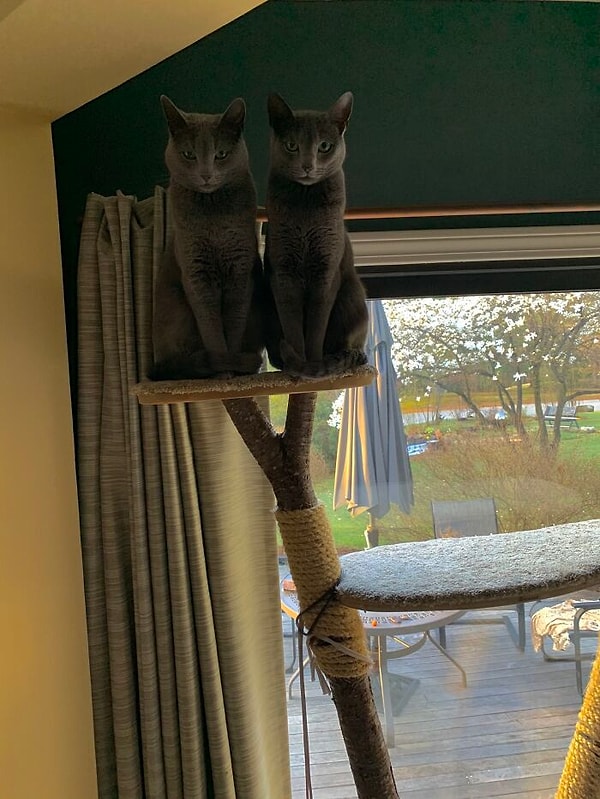 15. Кажется, они что-то замышляют