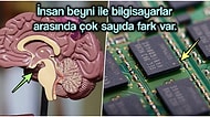 Bir Bilgisayar Olduğu İddia Edilen Beynin Teknolojik Aletlerden Ne Kadar Farklı Çalıştığını Açıklıyoruz
