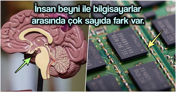 Bir Bilgisayar Olduğu İddia Edilen Beynin Teknolojik Aletlerden Ne Kadar Farklı Çalıştığını Açıklıyoruz