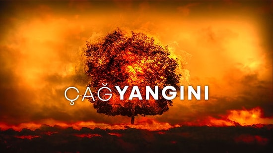 2021'de Kalbimizi Yakan Orman Yangınlardan Geriye Kalan 12 Soru!
