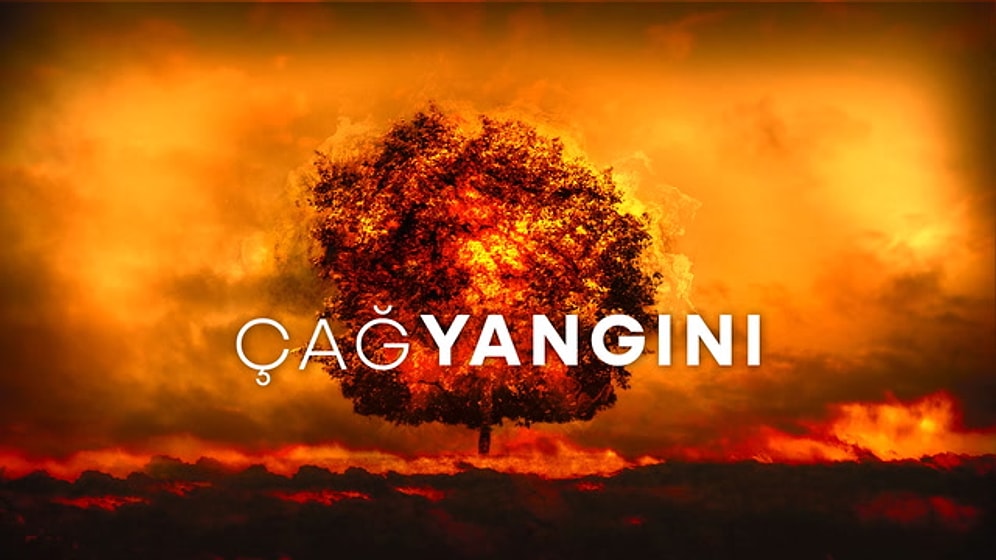 2021'de Kalbimizi Yakan Orman Yangınlardan Geriye Kalan 12 Soru!
