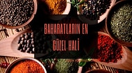 Biz Yemeğe Yemek Demeyiz Baharatı Olmayınca! Baharatların Aromasını Hissedeceğiniz En İyi 12 Baharat Öğütücü