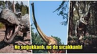 66 Milyon Yıl Önce Nesilleri Tükenen Devasa Büyüklükteki Dinozorların Sıcakkanlı Olduğunu Biliyor muydunuz?