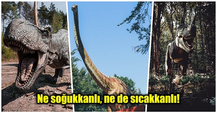 66 Milyon Yıl Önce Nesilleri Tükenen Devasa Büyüklükteki Dinozorların Sıcakkanlı Olduğunu Biliyor muydunuz?