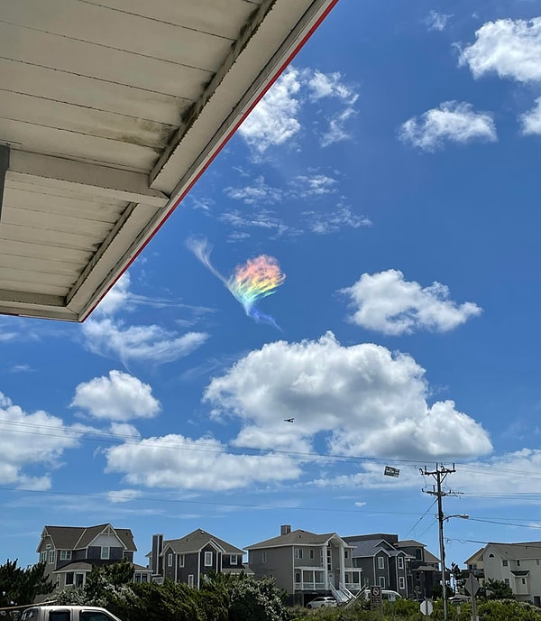 6. Как феникс!